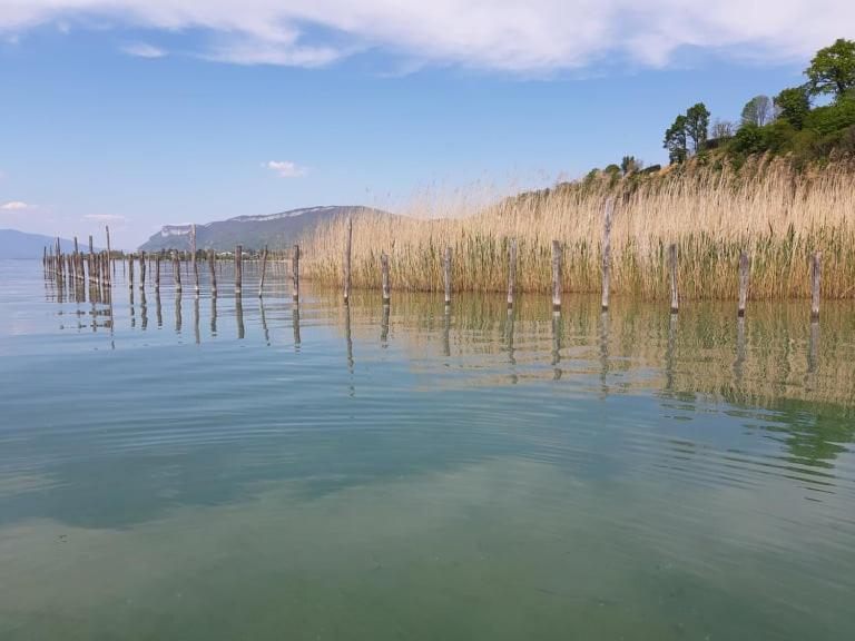Le Lamartine, Vue Magnifique Face Au Lac Du Bourget Aix-les-Bains Luaran gambar